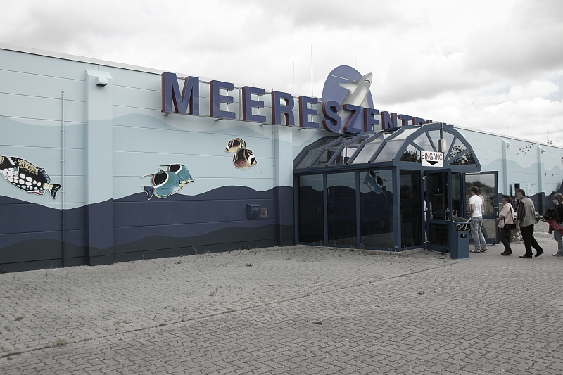 Meereszentrum Fehmarn - Meerwasseraquarium Korallenriff Haifischanlage